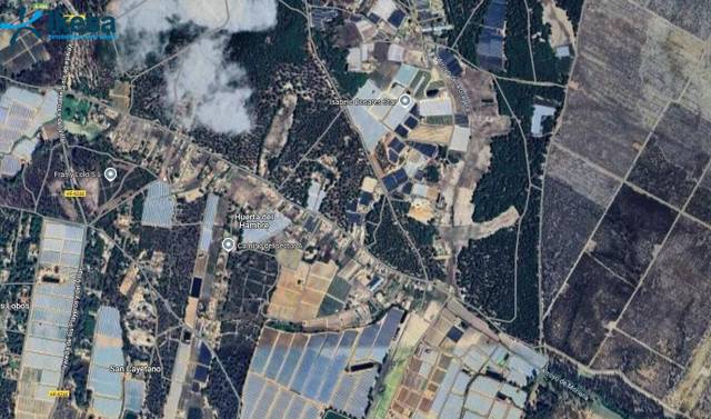 Terreno en Venta en Bonares