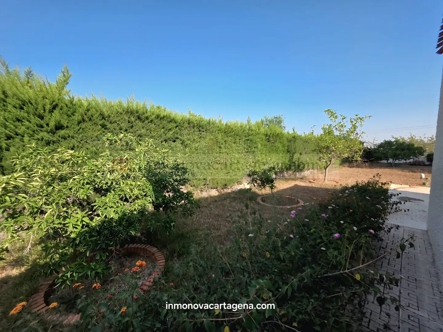 Country homes for sale in Urbanización Lomas Pozo Estrecho, Pozo Estrecho