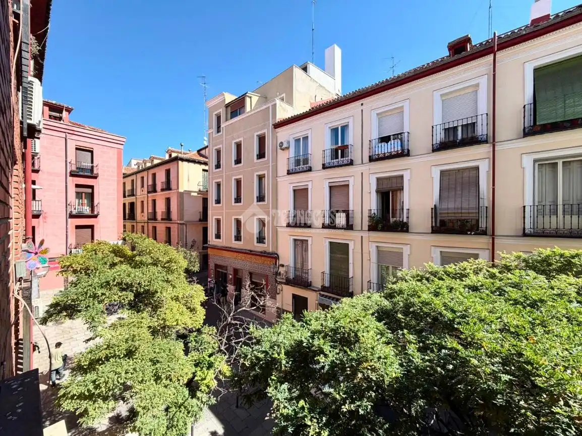 Appartement avec terrasse à louer à Centro