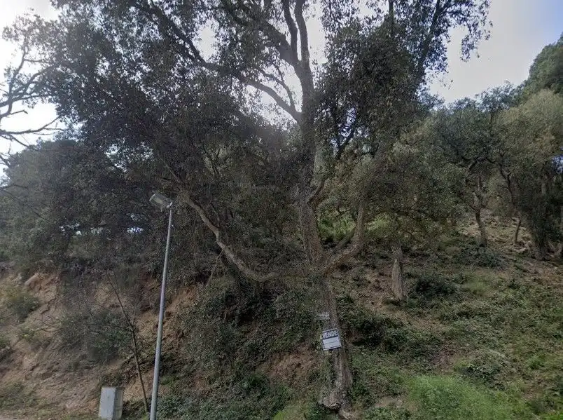 Terrenos y solares en venta en Canyelles, imagen 11