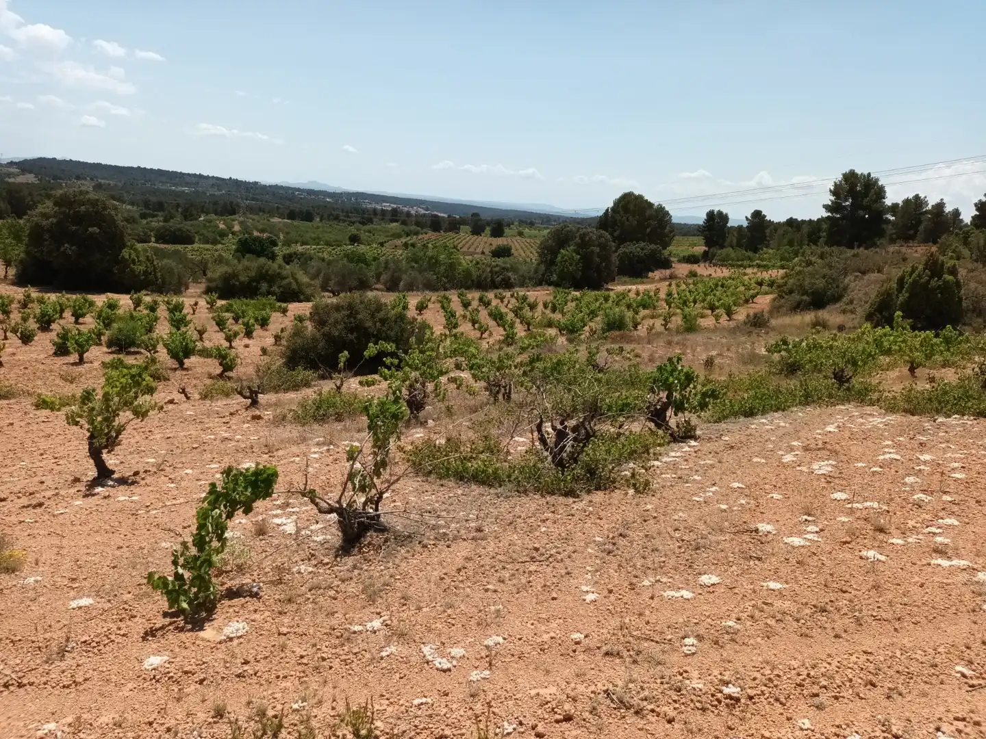 Residencial en venta en Pasaje Hoya Huesos, Venta del Moro