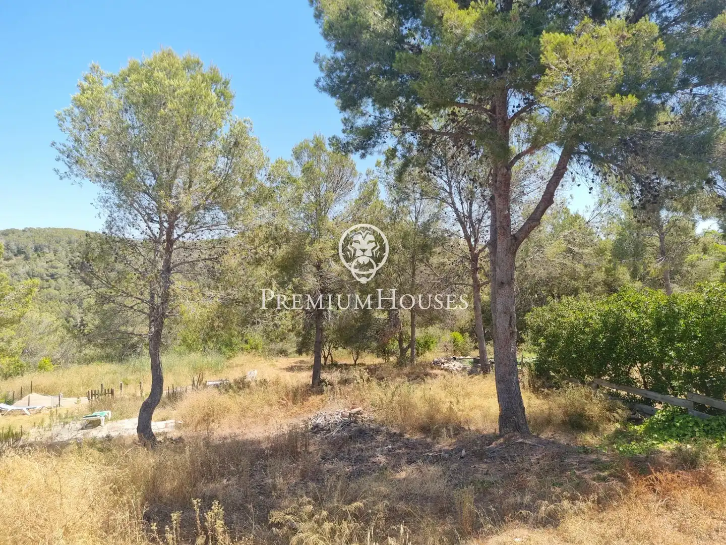 Terrain rustique à vendre à Vallpineda - Rocamar, imagen 2