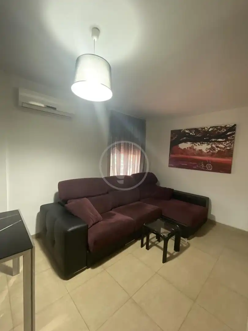 Sala d'estar de Pis en venda en Linares amb Aire condicionat, Terrassa i Moblat