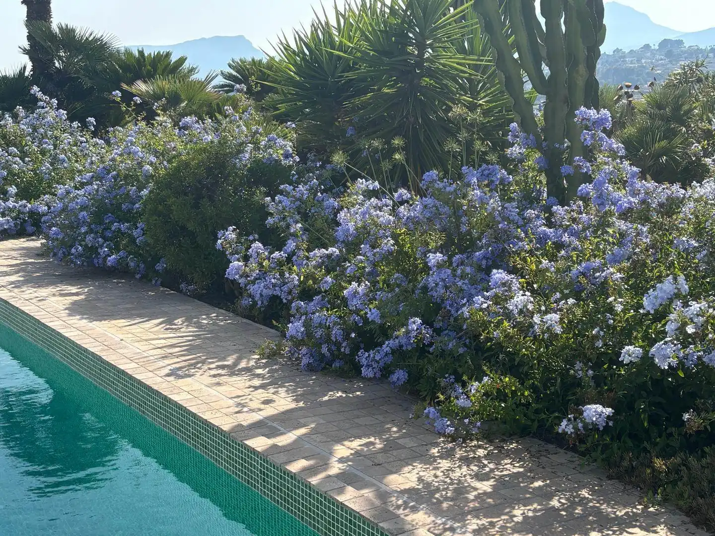 Piscina de Finca rústica en venta en Benissa con Aire acondicionado, Calefacción y Jardín privado