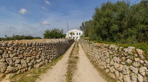 Casa de campo en zona tranquila cerca de Es Castell, imatge 3