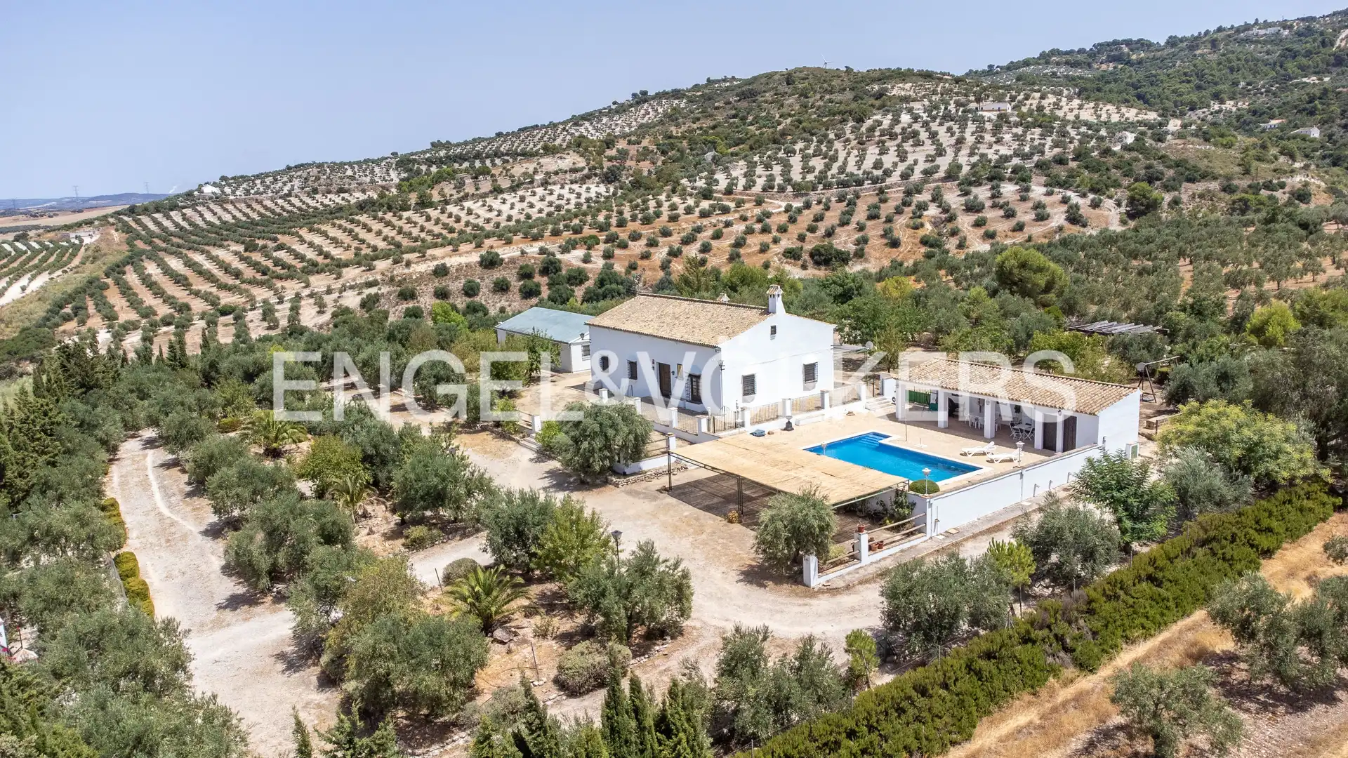 Vista exterior de Casa o chalet en venta en Osuna con Calefacción, Jardín privado y Piscina