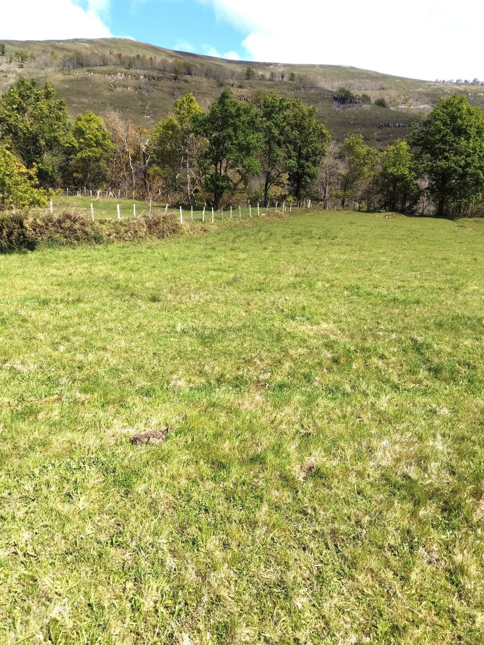 Residencial en venta en Rionansa