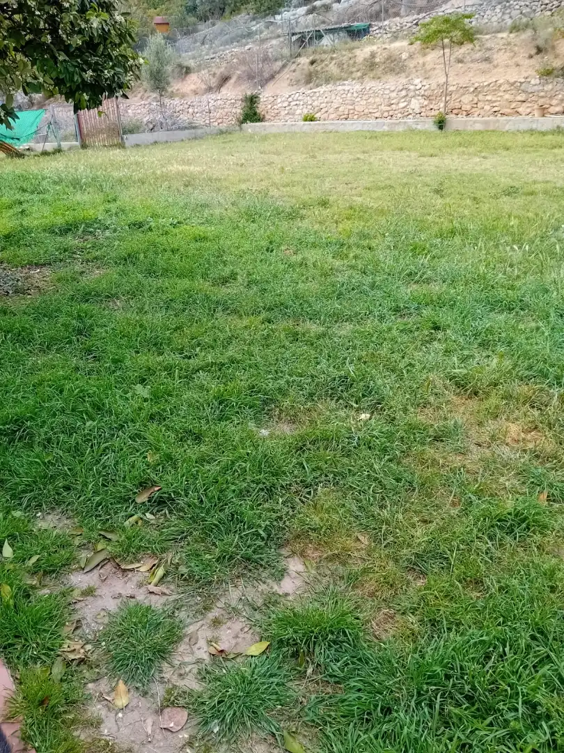 Casa rústica en venda a Llevantina - Montgavina - Quintmar, imagen 22
