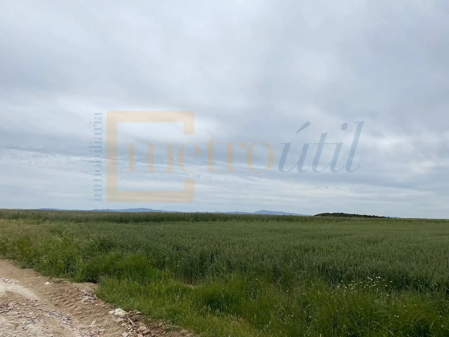 Land for sale in Cantaracillo
