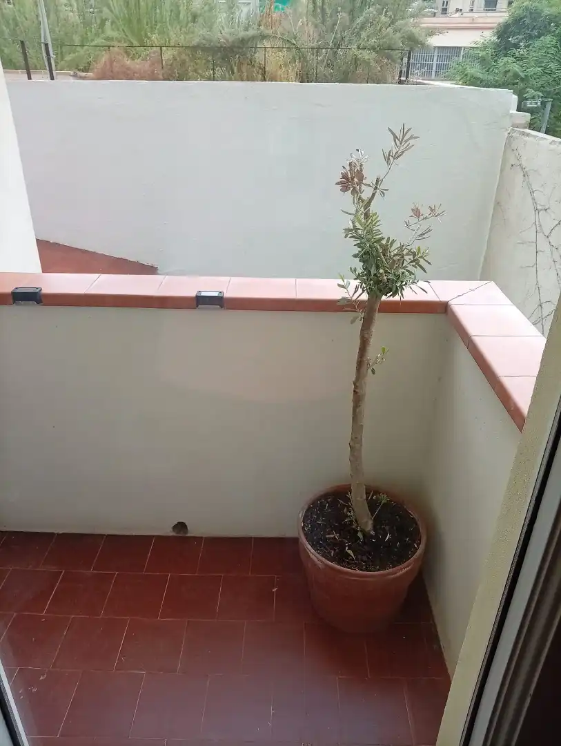 Piso con terraza en venta en Carrer de Provença 422, imagen 6