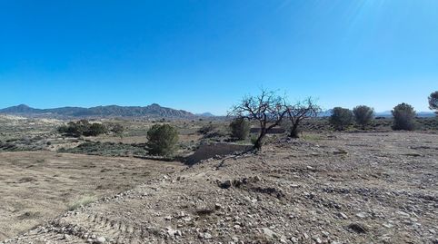 Foto 5 de Terreny en venda a Abanilla, Murcia