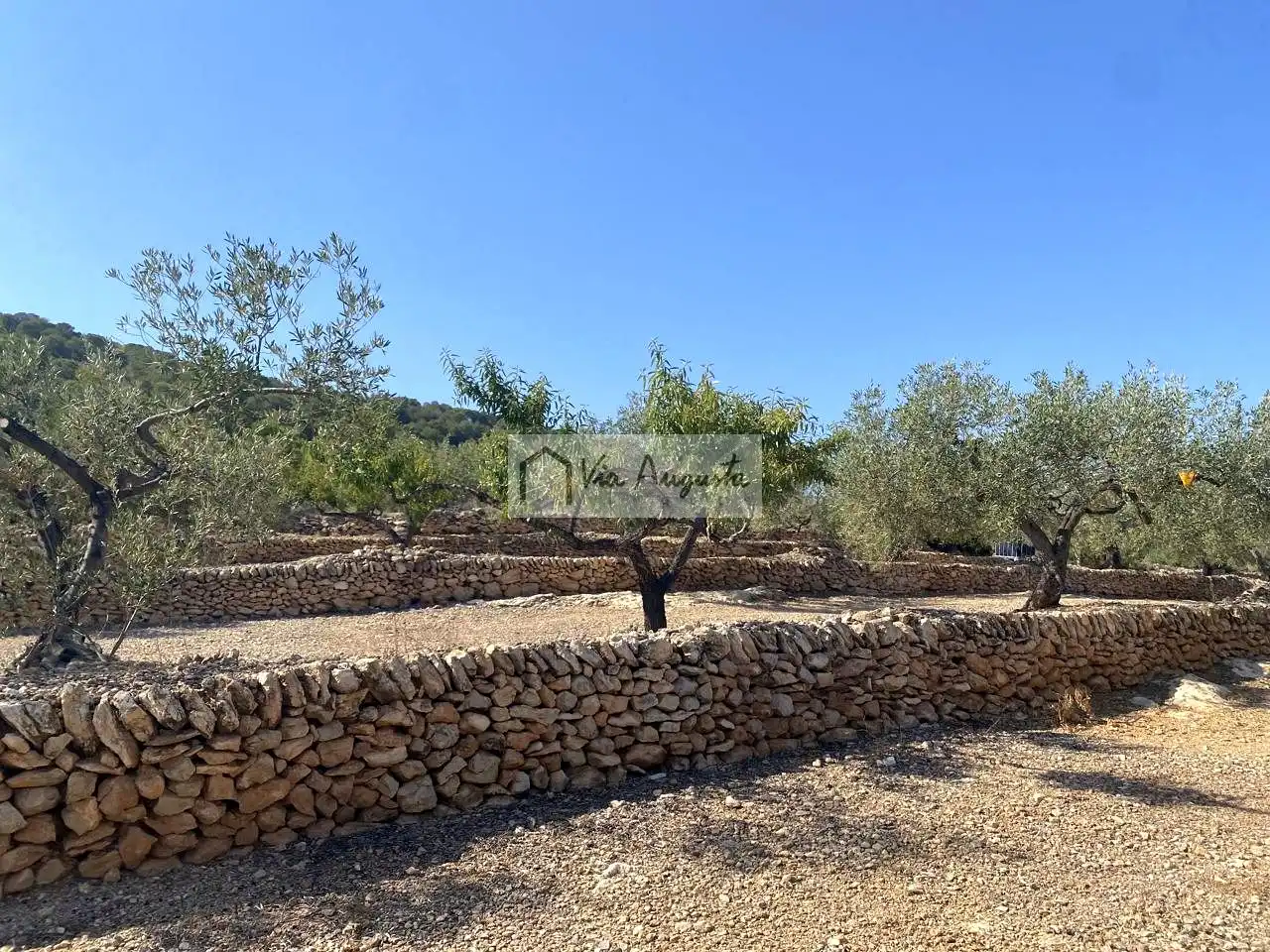 Finca rústica en venda a Carratillana, L'Ametlla de Mar pueblo