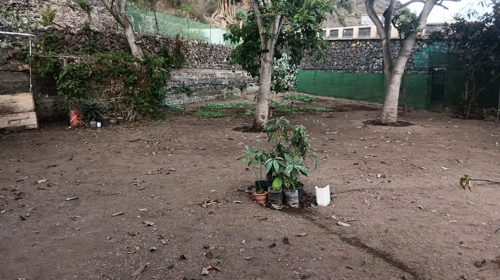 Rural land for sale in Calle Pez, imagen 10