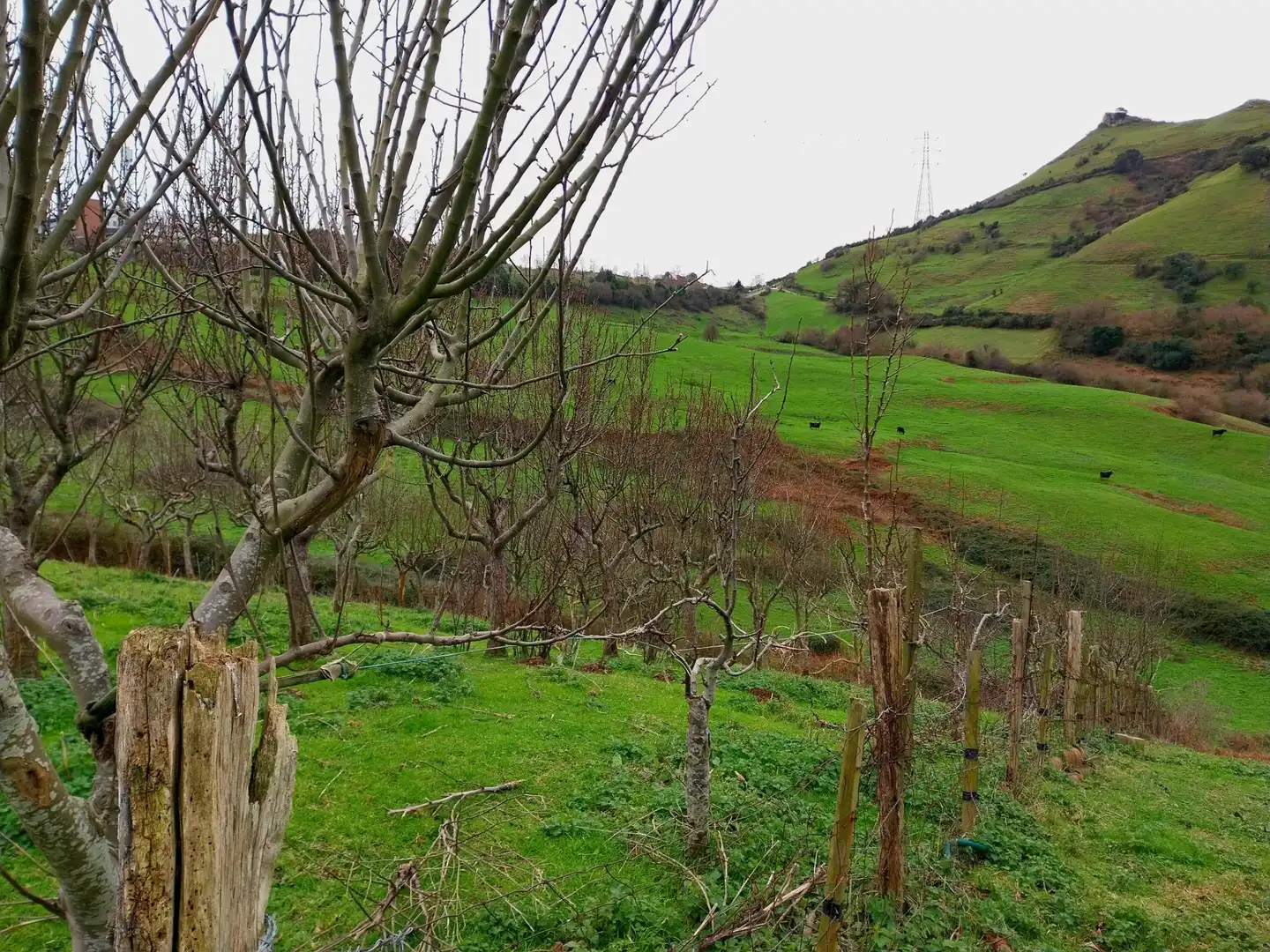 Rural land for sale in Zierbena, imagen 18