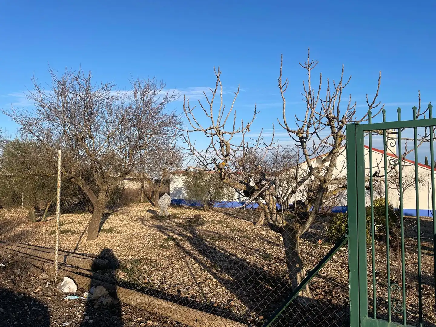 Finca rústica en venta en Ciudad Real con Amueblado