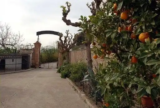 Vista exterior de Finca rústica en venta en Castellbisbal, Barcelona
