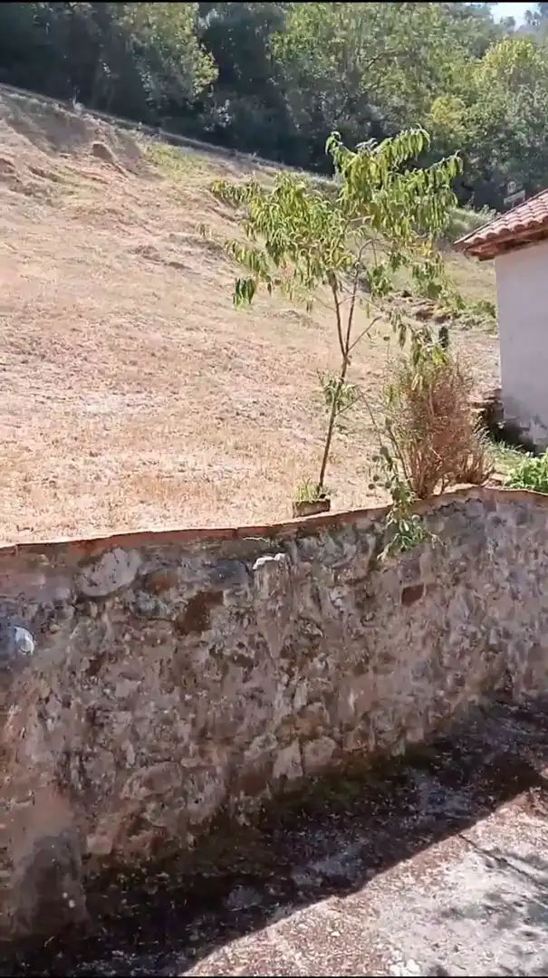 Country homes for sale in Salas