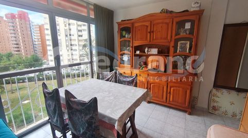 Foto 4 de Estudio en venta en Avenida Montecarlo, Rincón Alto, Benidorm