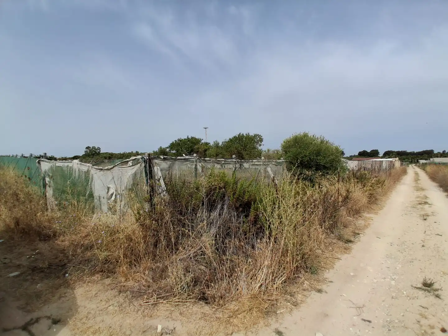 Residential land for sale in Pinar de la villa, imagen 2
