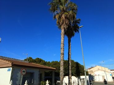 Villa avec jardin à vendre à Carretera A la Aljorra 18