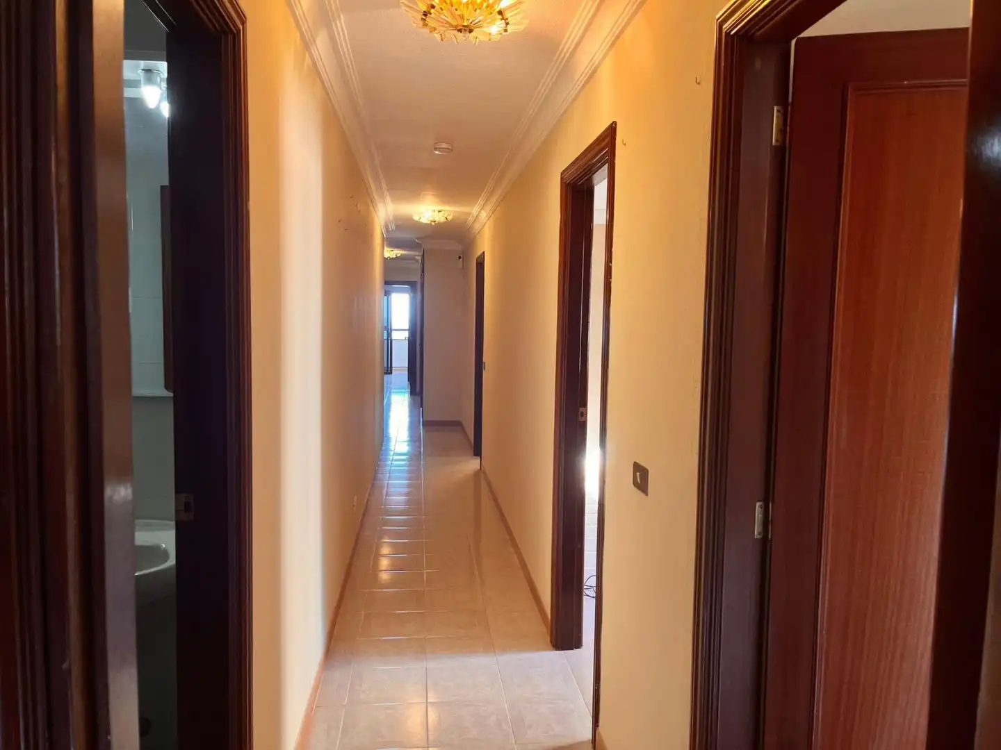 Wohnung mit Terrasse zum Verkauf in Calle Calle Elías Ramos González, imagen 19