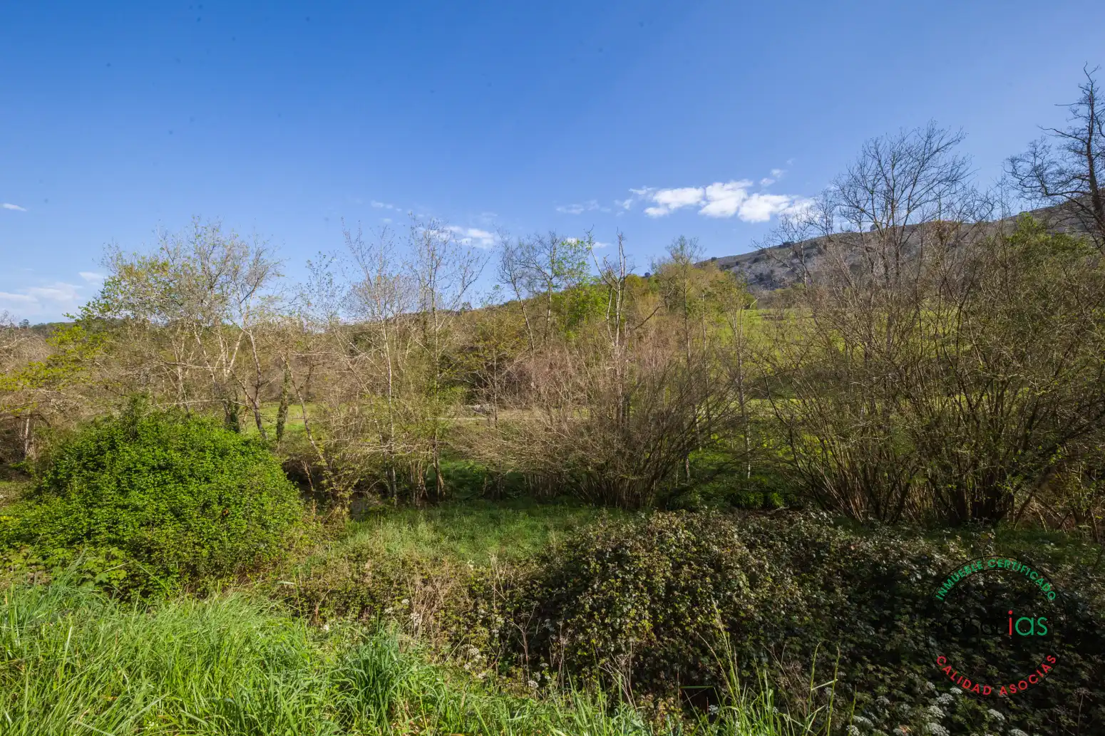 Geschaftsraum zum Verkauf in Llanes