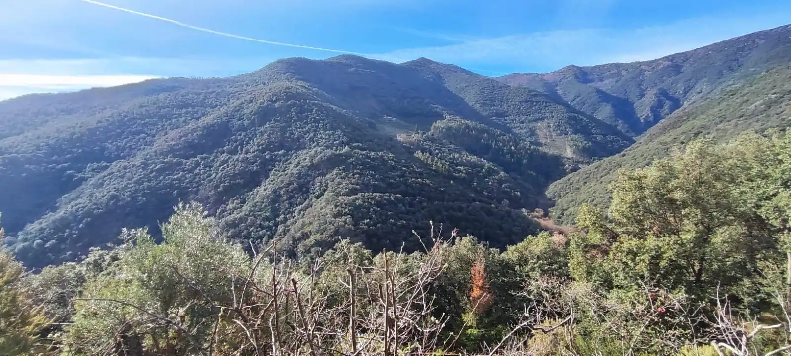 Casa o chalet en venta en Montseny