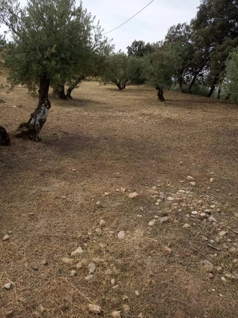 Terrenos y solares en venta en Úbeda, imagen 3