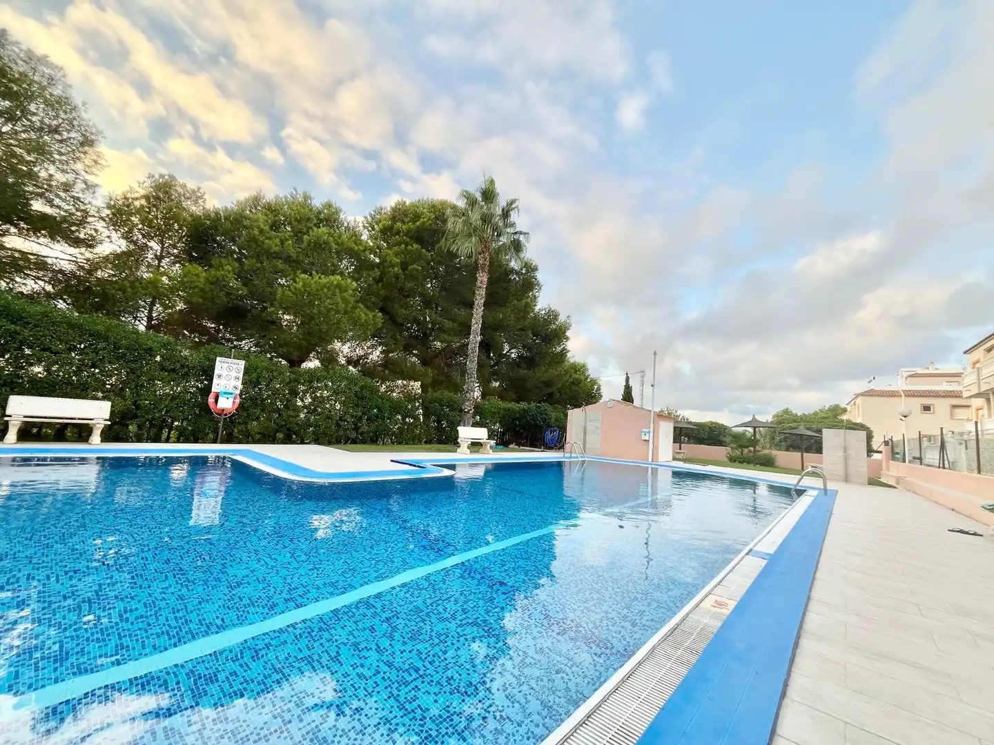 Piscina de Planta baja de alquiler en Torrevieja con Calefacción, Piscina y Amueblado