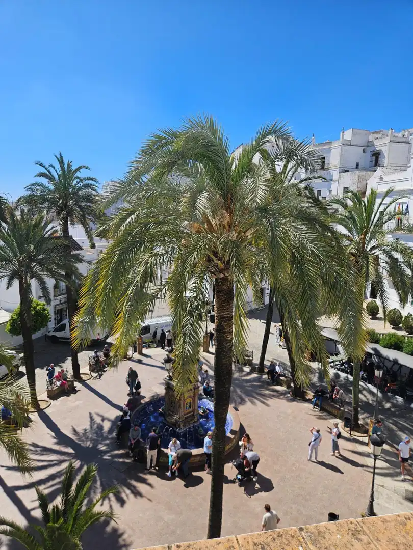 Maison à vendre à Vejer, imagen 52