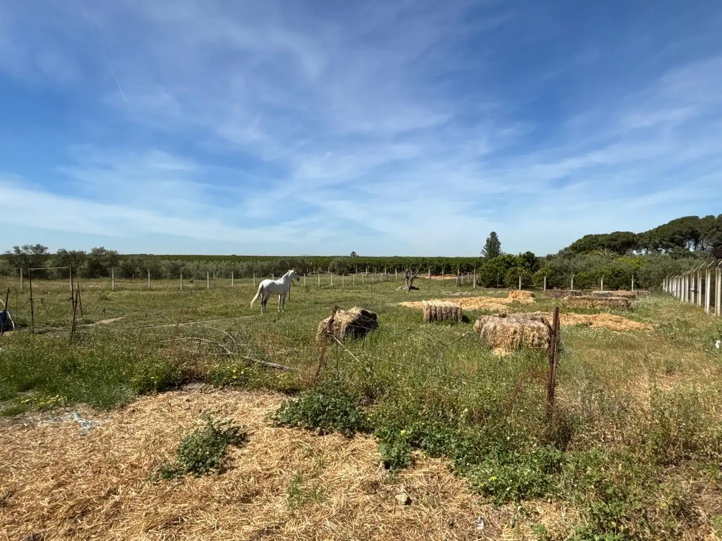 Terreni e lotti in vendita a Polígono Polígono 14 Paraje 87 LOS MONTES, imagen 25
