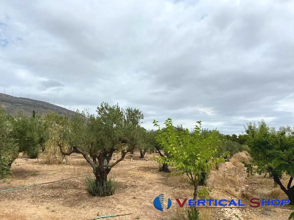 Wohnbaugrundstück zum Verkauf in Vereda Santa Ana, imagen 11