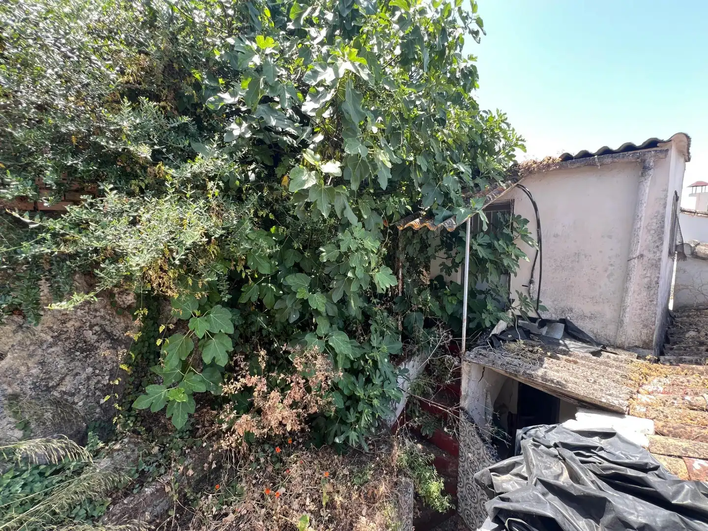 Casa o xalet en venda en Ubrique amb Traster i Balcó