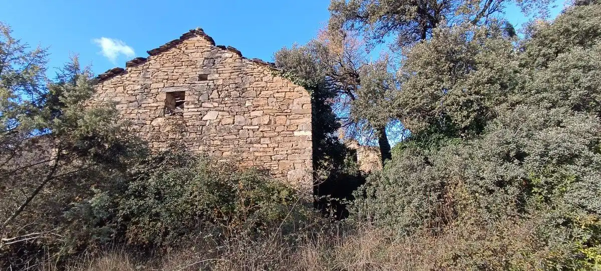 Vista exterior de Finca rústica en venda en La Fueva