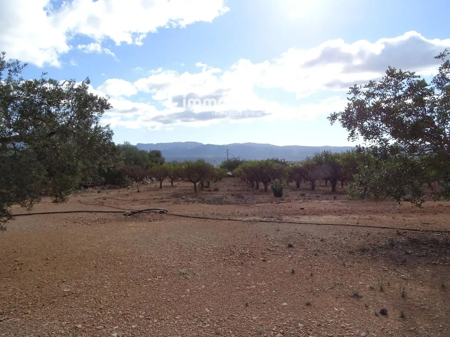 Terrain rustique à vendre à 14, imagen 12