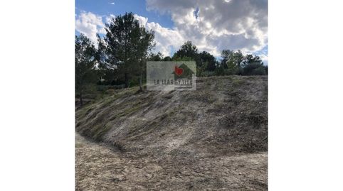 SE VENDE TERRENO RUSTICO EN BIXQUERT, immagine 5