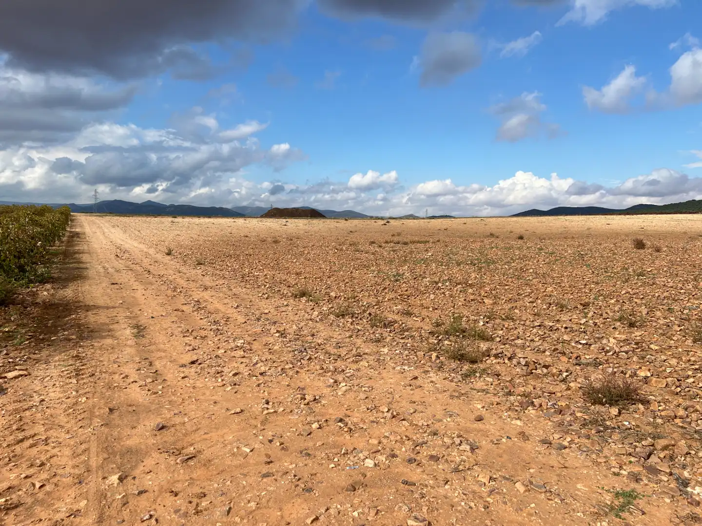 Terreny rústic en venda a Carretera Herencia 14, imagen 10