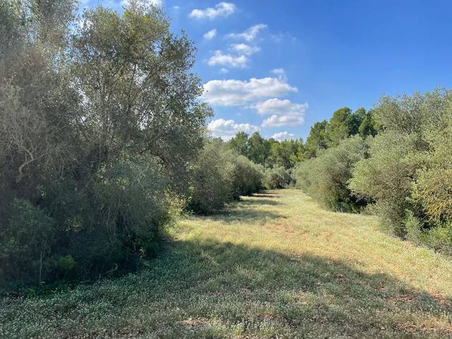 Terreno residencial en Venta en Alcover