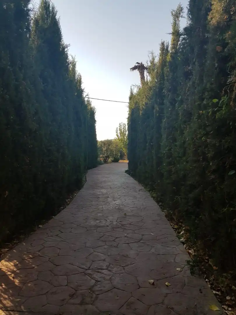 Finca rústica en venta en Santa Cruz de Mudela