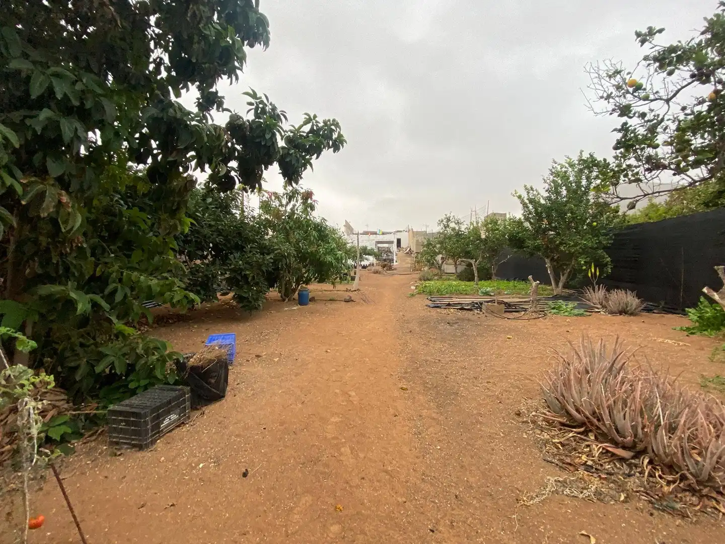 Country homes for sale in Calle ST ELENA, 2, Santa María de Guía de Gran Canaria