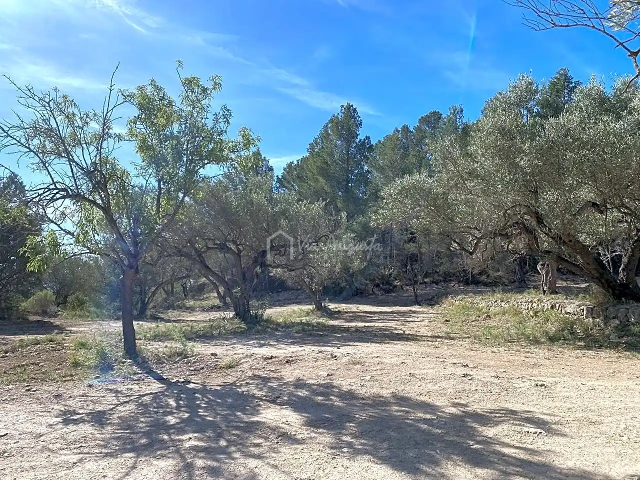Terrain rustique à vendre à La Baixada, imagen 13