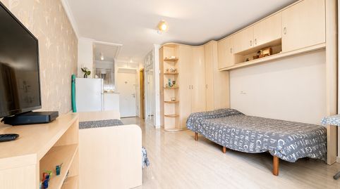Foto 3 de Estudio en venta en Avenida Gamonal, Parque de la Paloma, Benalmádena