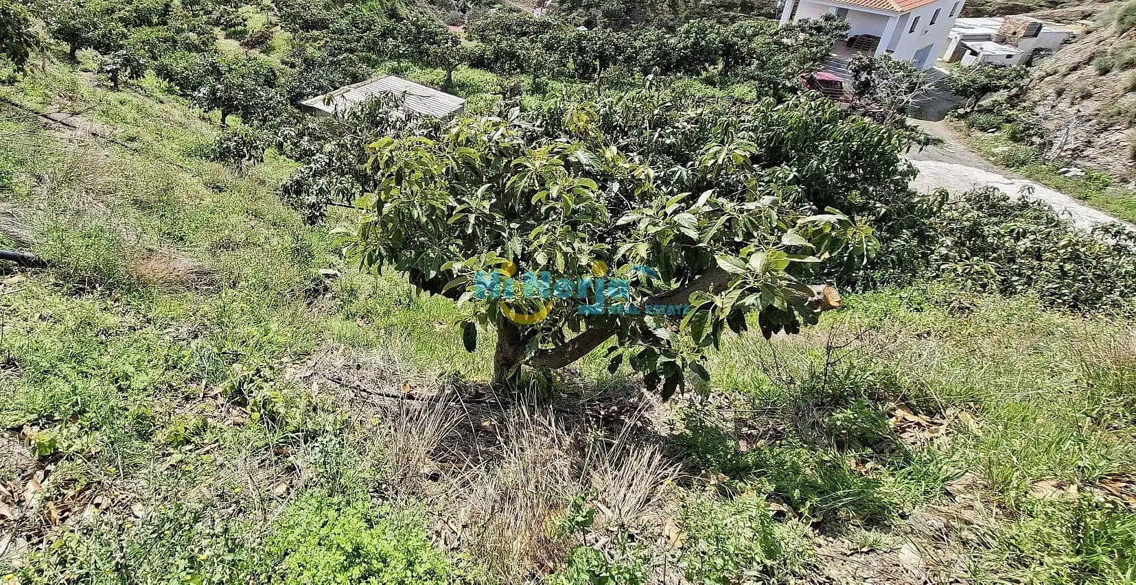Casa en venta en Vélez-Málaga ciudad, imagen 35