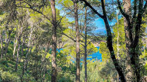 Foto 5 de Terreny industrial en venda a S´antiga, 13, Sa Riera - Sa Fontansa, Girona