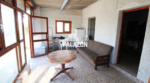 Foto 4 de Finca rústica en venta en Crevillent, Alicante
