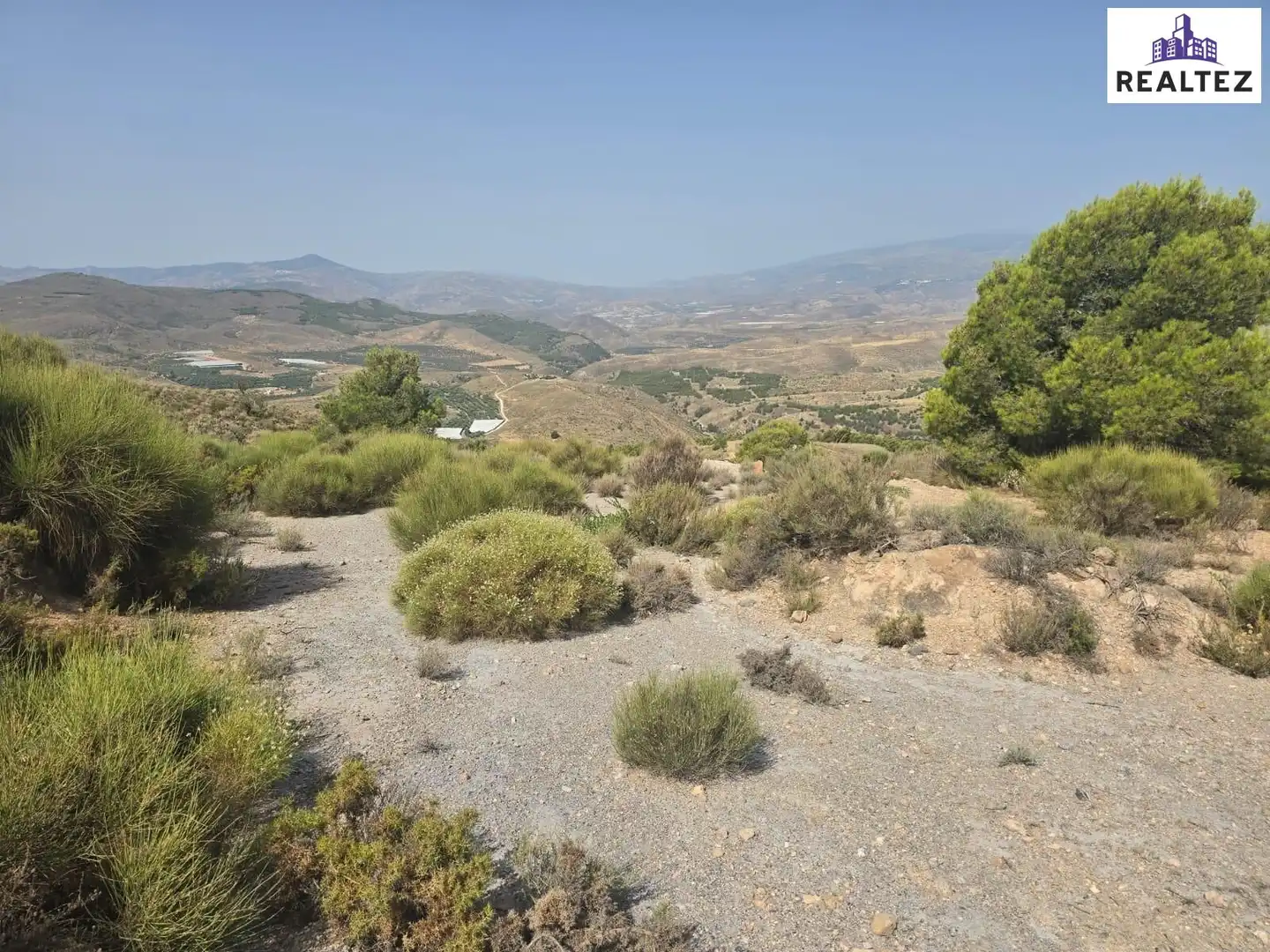 Terrain rustique à vendre à Alcolea, imagen 10