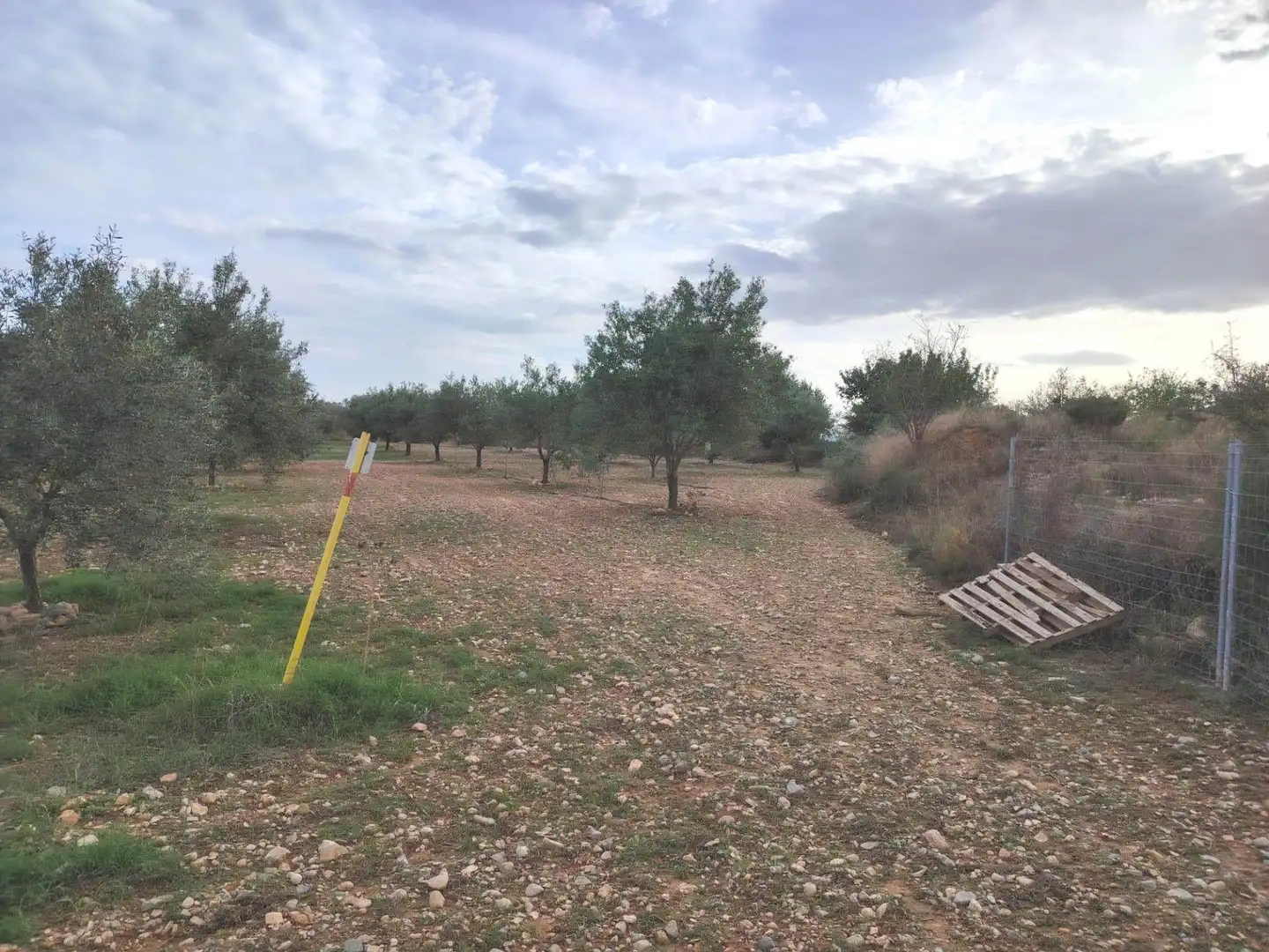 Terrain rustique à vendre à Santa Bárbara, imagen 4