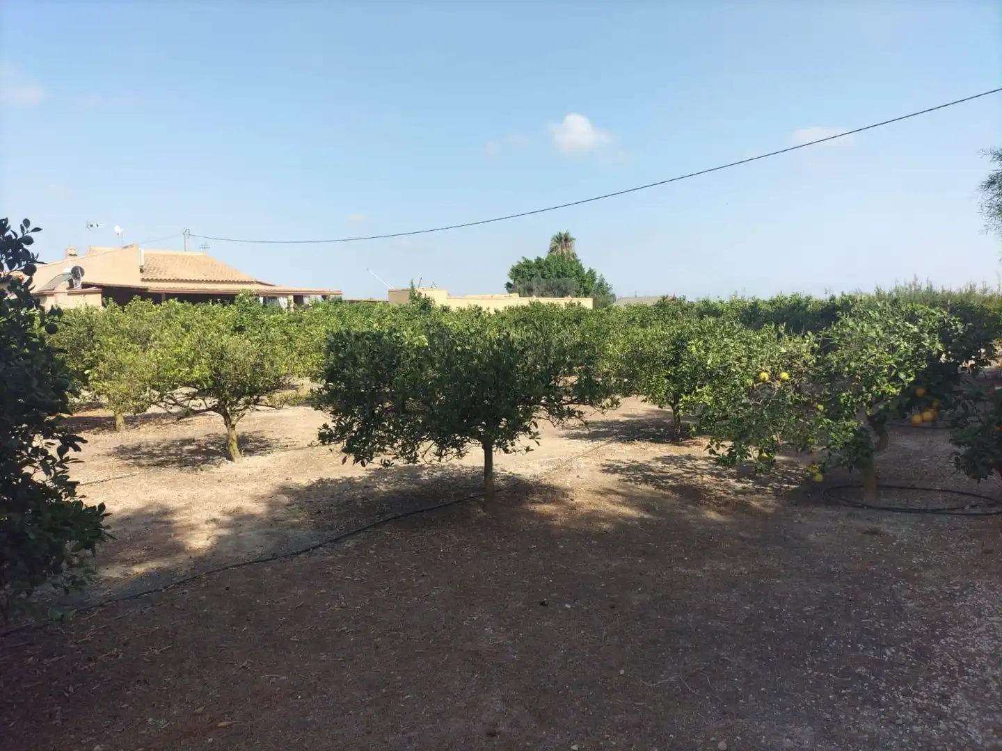 Xalet amb piscina en venda a Formentera del Segura, imagen 34