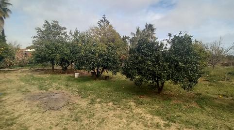Foto 2 de Finca rústica en venda a Platja de Mont-roig, Mont-roig del Camp