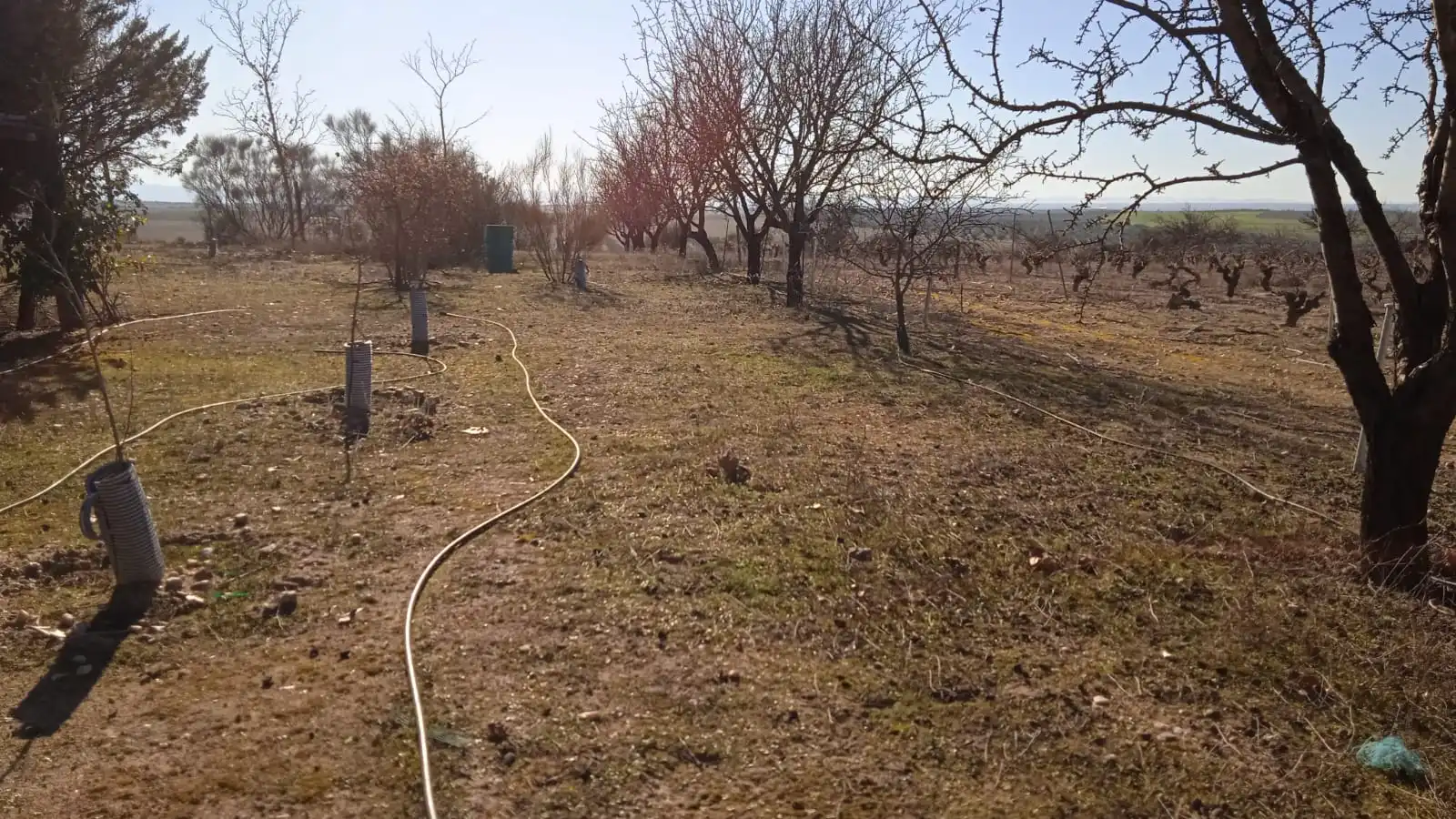 Terreno en venta en Illán de Vacas